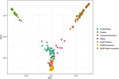 Novel Variants in LRRK2 and GBA Identified in Latino Parkinson Disease Cohort Enriched for Caribbean Origin